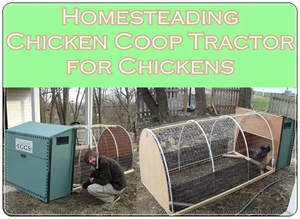 Homesteading Chicken Coop Tractor for Chickens