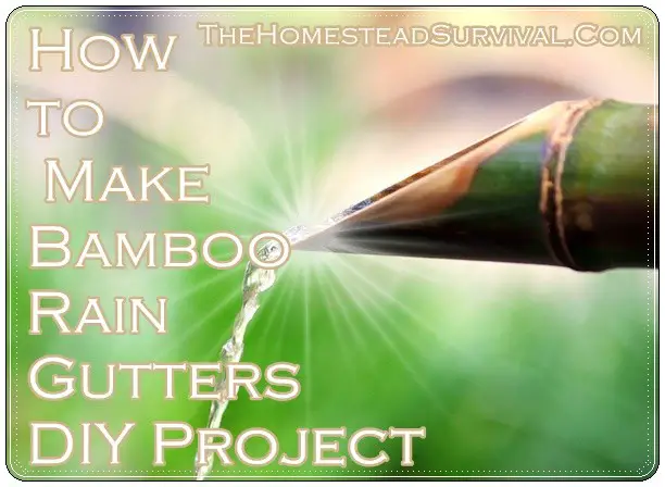 How to Make Bamboo Rain Gutters DIY Project