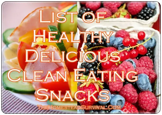 List of Healthy Delicious Clean Eating Snacks 