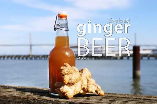 Make Delicious Zesty Ginger Beer Recipe