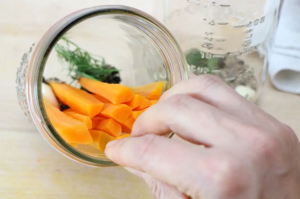 Pickled Dilly Carrots Homesteading Favorite Recipe