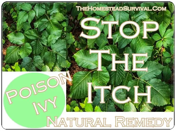 Poison Ivy Stop The Itch Natural Remedy 