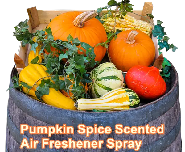 Pumpkin Spice Scented Air Freshener Spray 