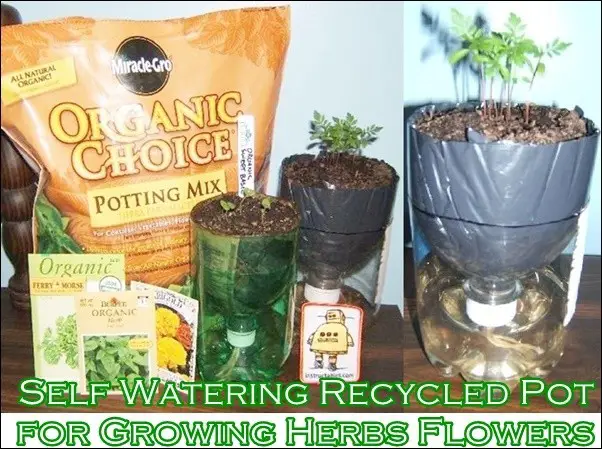 Self Watering Recycled Pot for Growing Herbs Flowers