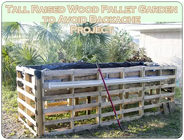 Tall Raised Wood Pallet Garden to Avoid Backache Project