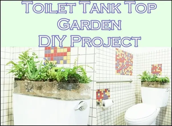 Toilet Tank Top Garden DIY Project