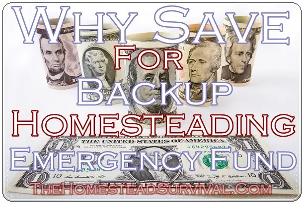 Why Save for Backup Homesteading Emergency Fund 
