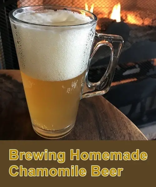 Brewing Homemade Chamomile Beer