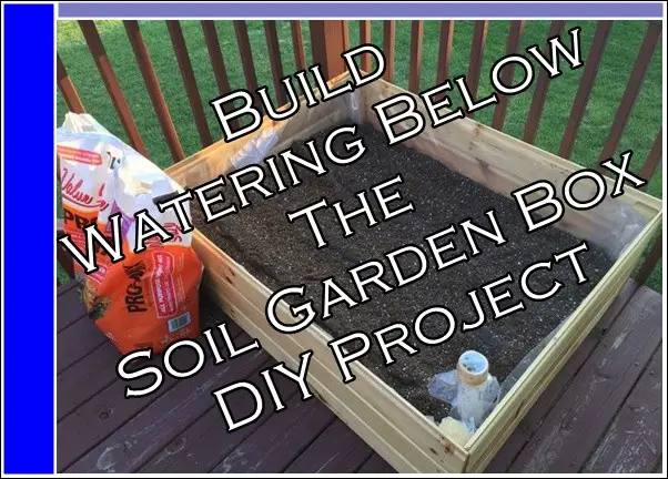 Build Watering Below The Soil Garden Box DIY Project
