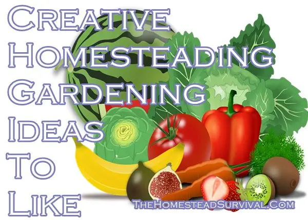 Creative Homesteading Gardening Ideas To Like