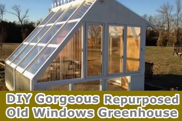 DIY Gorgeous Repurposed Old Windows Greenhouse 