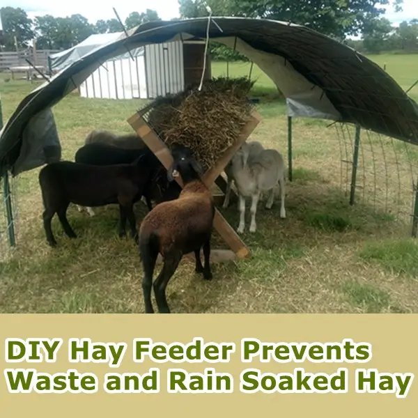 DIY Hay Feeder Prevents Waste and Rain Soaked Hay