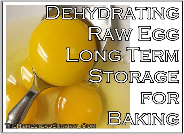 Dehydrating Raw Egg Long Term Storage for Baking