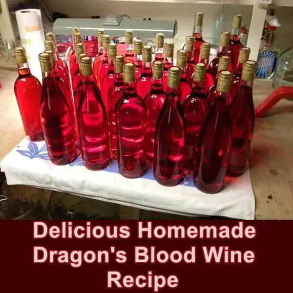 Delicious Homemade Dragon's Blood Wine Recipe