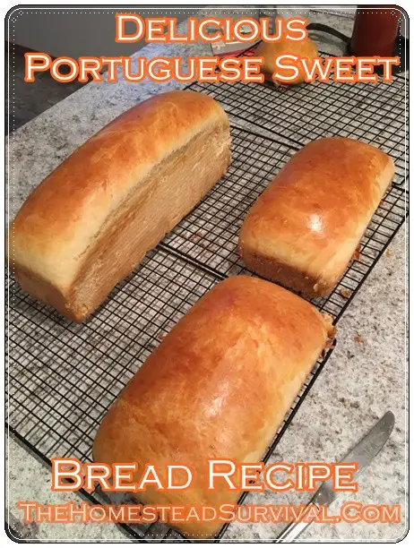 Delicious Portuguese Sweet Bread Recipe