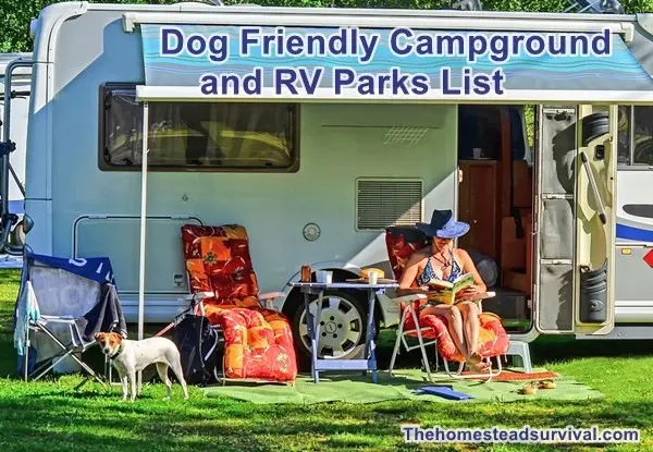 Dog Friendly Campground and RV Parks List