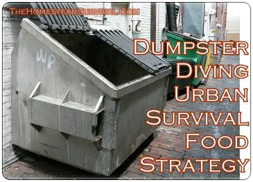 Dumpster Diving Urban Survival Food Strategy