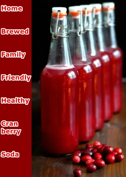 Home Brewed Family Friendly Healthy Cranberry Soda