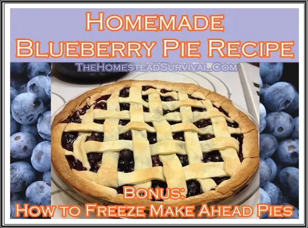 Homemade Blueberry Pie Recipe and Freeze Pies