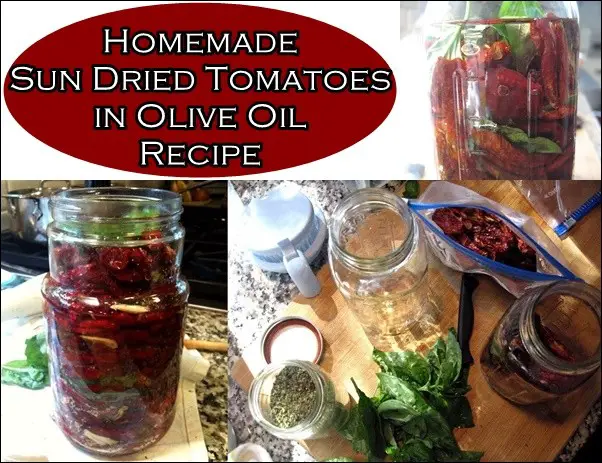 Homemade Sun Dried Tomatoes in Olive Oil Recipe