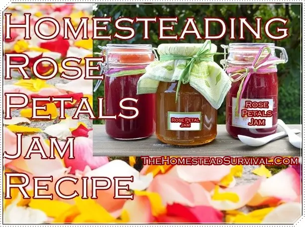 Homesteading Delicious Rose Petals Jam Recipe