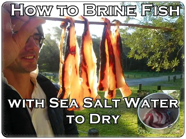 How to Brine Fish with Sea Salt Water to Dry