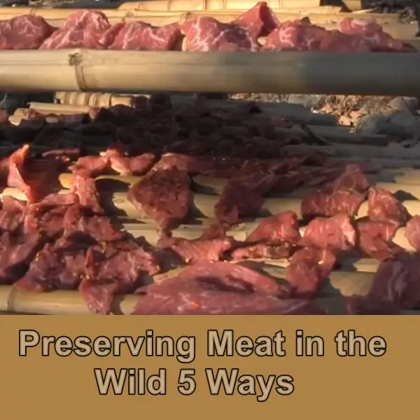 Preserving Meat in the Wild 5 Ways 