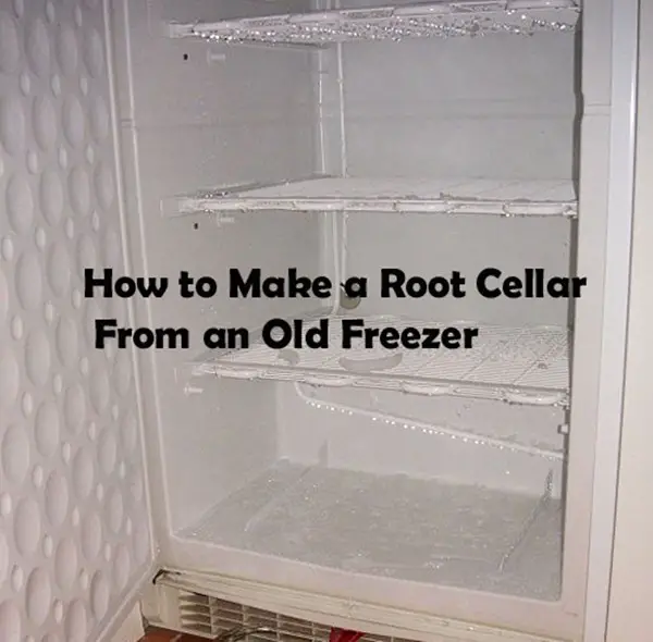 Repurpose Old Freezer Into Root Cellar