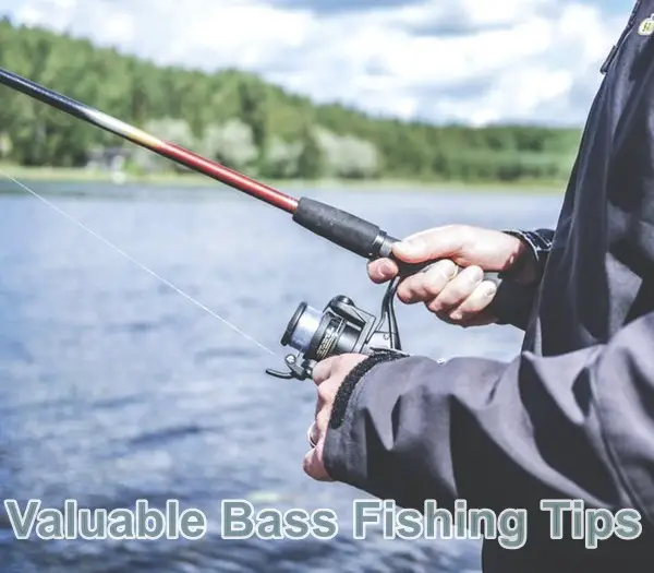 Valuable Bass Fishing Tips 