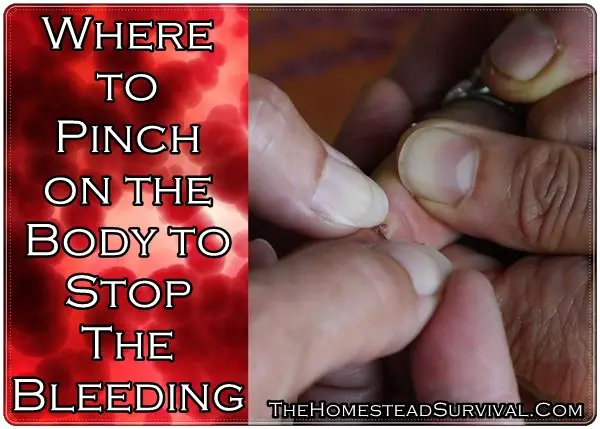 Where to Pinch on the Body to Stop The Bleeding