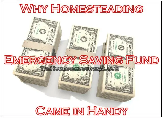 Why Homesteading Emergency Saving Fund Came in Handy