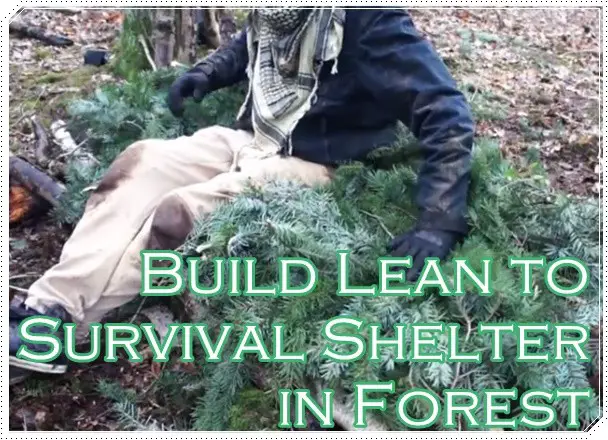 Build Lean to Primitive Survival Shelter in Forest