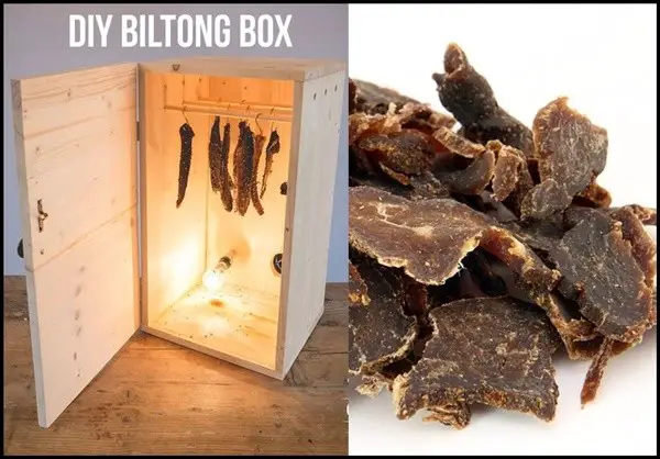 Build Meat Biltong Jerky Drying Box DIY Project
