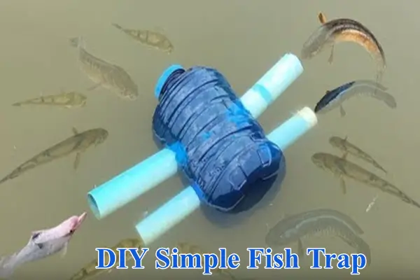 DIY Simple Fish Trap