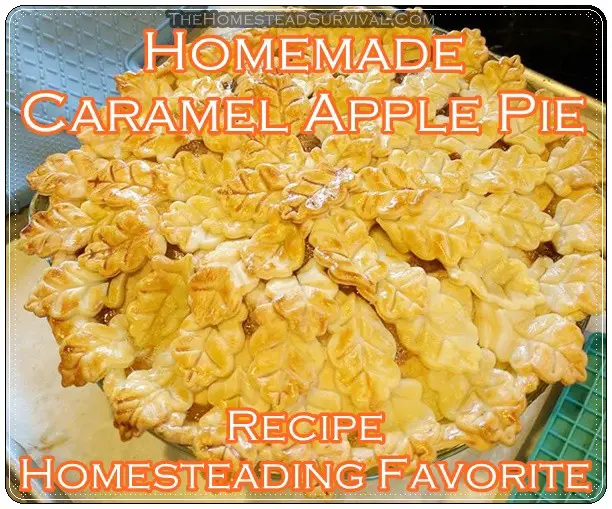 Homemade Caramel Apple Pie Recipe Homesteading Favorite