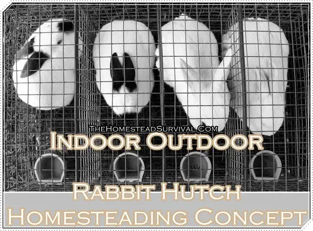 Indoor Outdoor Rabbit Hutch Homesteading Concept 