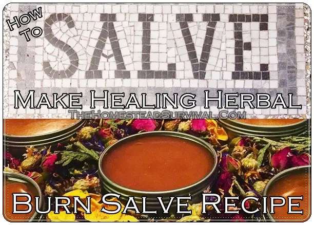 Make Healing Herbal Burn Salve Recipe