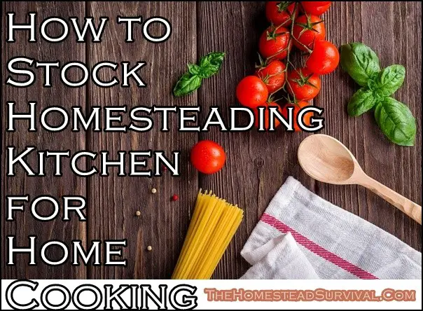 Stock Homesteading Kitchen for Home Cooking