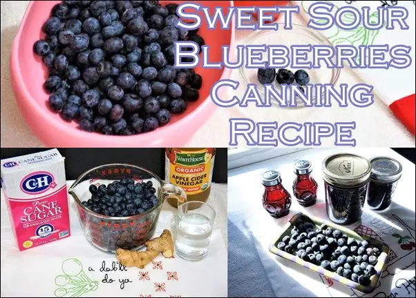 Exciting Sweet Sour Blueberries Canning Recipe 