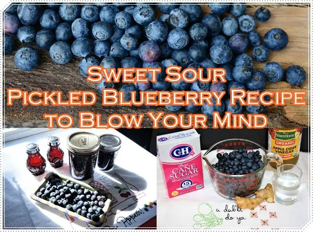 Sweet Sour Pickled Blueberry Recipe to Blow Your Mind