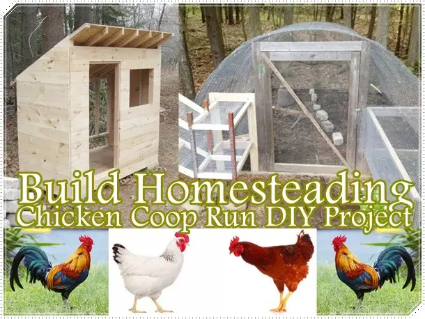 Build Homesteading Chicken Coop Run DIY Project