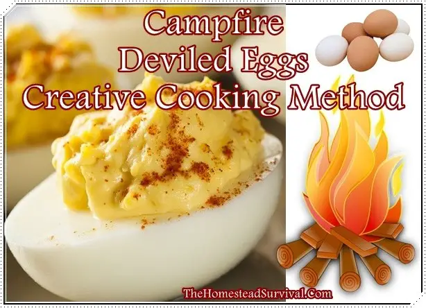 Campfire Deviled Eggs Creative Cooking Method 