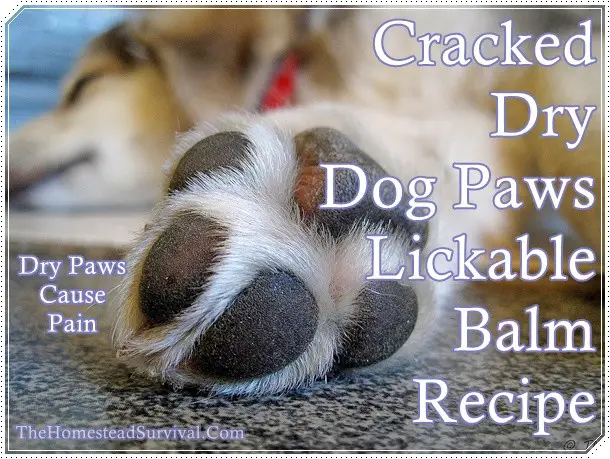 Cracked Dry Dog Paws Lickable Balm Recipe