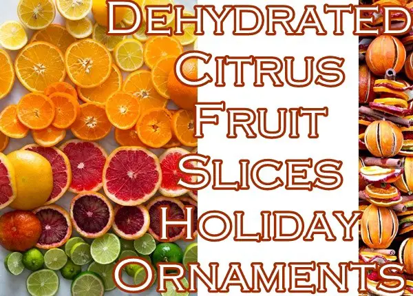 Dehydrated Citrus Fruit Slices Holiday Ornaments