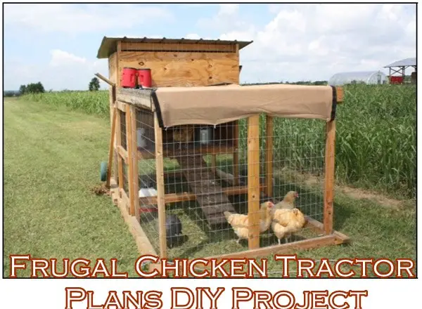 Frugal Chicken Tractor Plans DIY Project