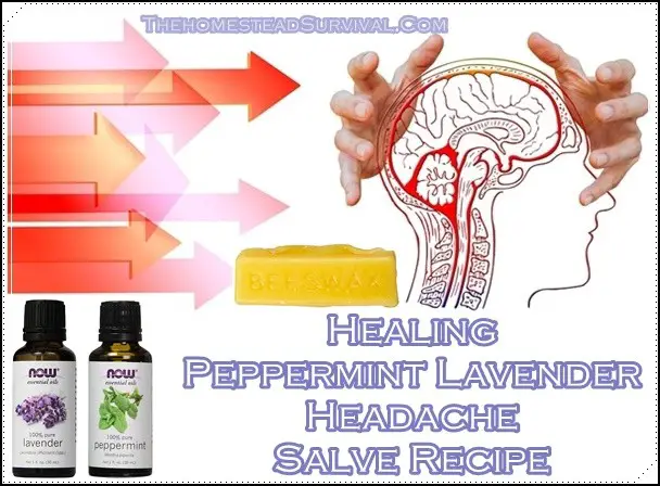 Healing Peppermint Lavender Headache Salve Recipe