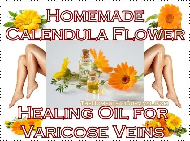 Homemade Calendula Flower Healing Oil for Varicose Veins -Homesteading - Natural Home Remedies