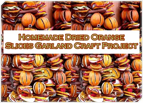Homemade Dried Orange Slices Holiday Garland Craft Project - Homesteading