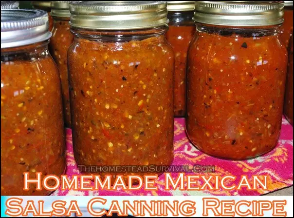 Homemade Mexican Salsa Canning Recipe