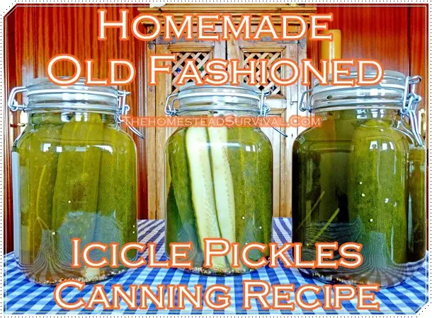Homemade Old Fashioned Icicle Pickles Canning Recipe